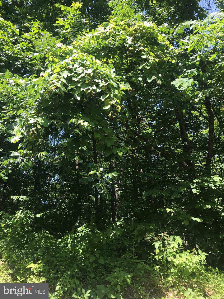 High Top Rd - Photo 1