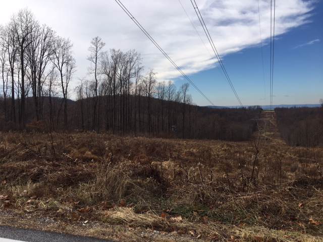 Roundtop Road - Photo 1