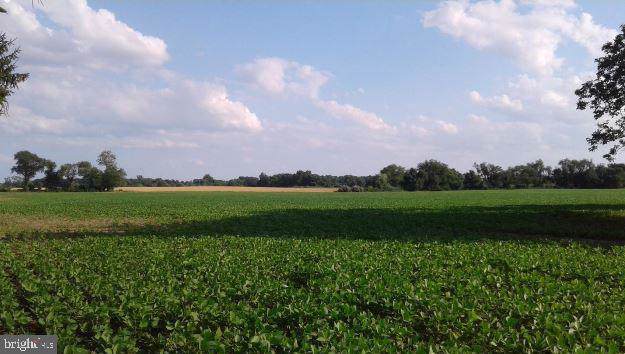 254 Route 45 - Photo 1