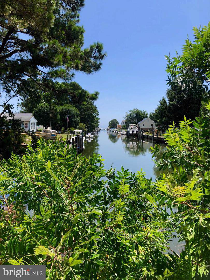 Lot 1 Snug Harbor Road - Photo 1