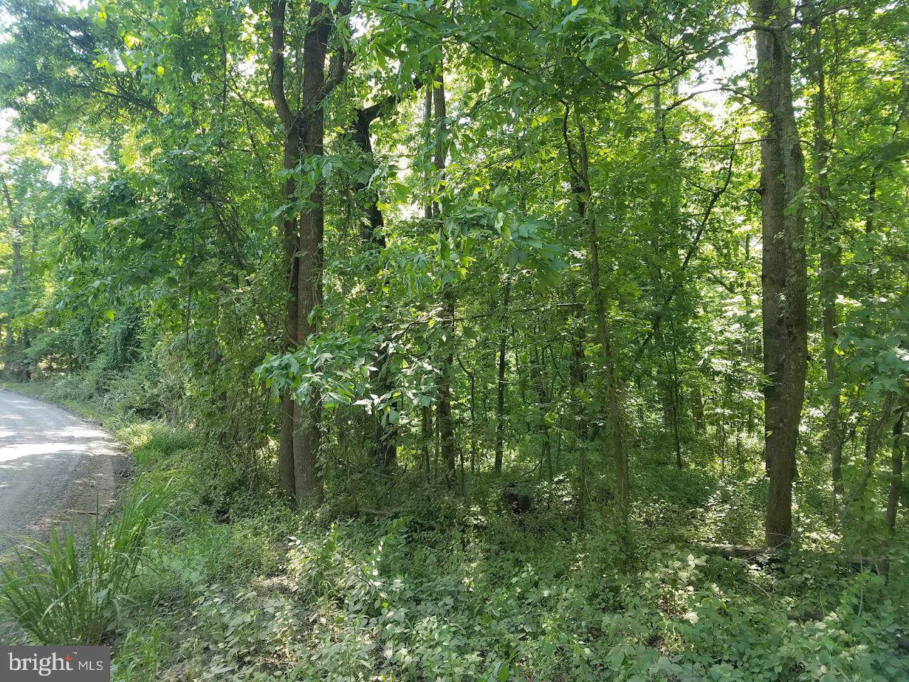 Lenah Rd - Photo 1