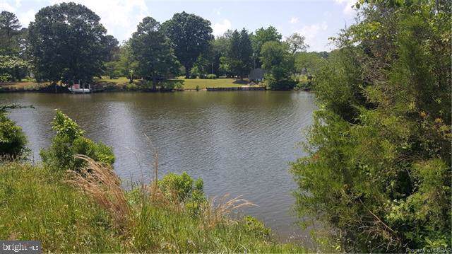 00 Flowering Fields Drive - Photo 1