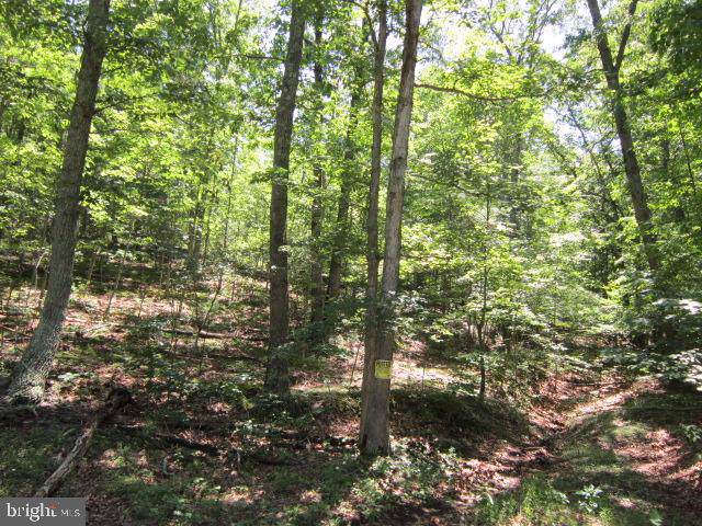 2A Rock Slide Way - Photo 1