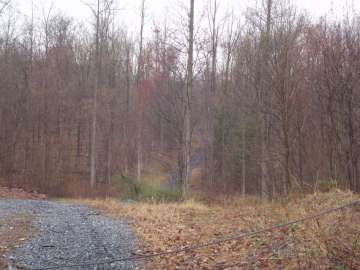 805 Mine Road - Photo 1