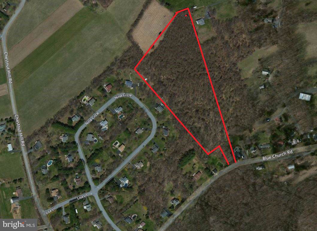 LOT 1 Blue Church Road - Photo 1