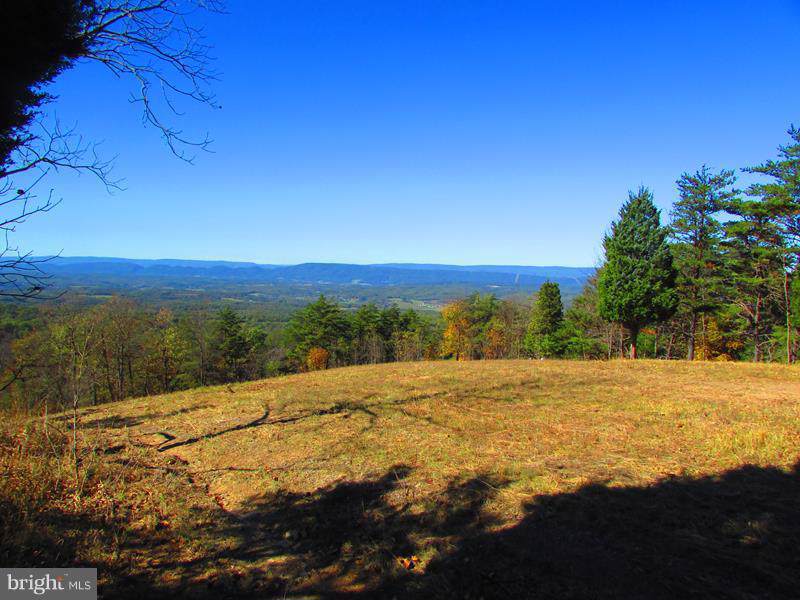 101 BLUFFS ON THE POTOMAC - Photo 1