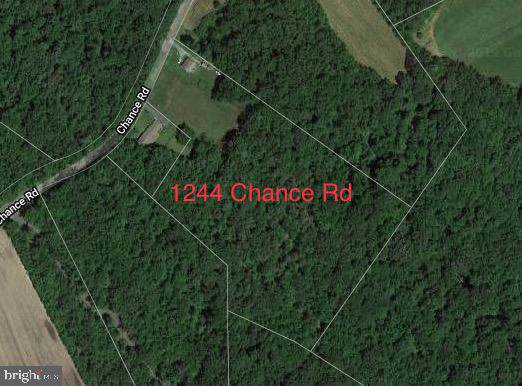 1244 Chance Road - Photo 1