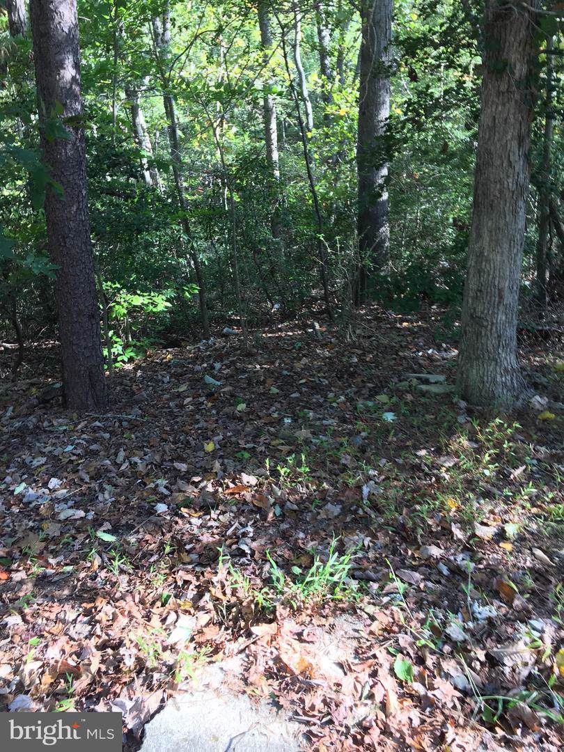 533 Noah Frazee Road - Photo 1