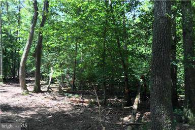 9900 Tall Pines Place - Photo 1