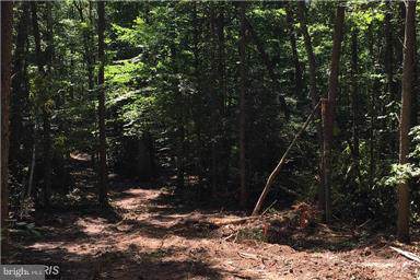 9880 Tall Pines Place - Photo 1