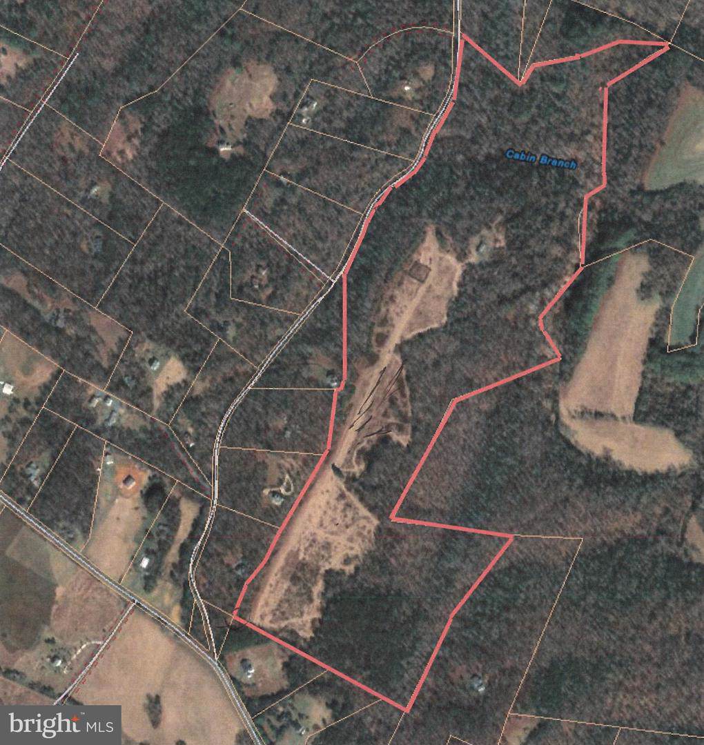 7039 Cabin Branch Road - Photo 1