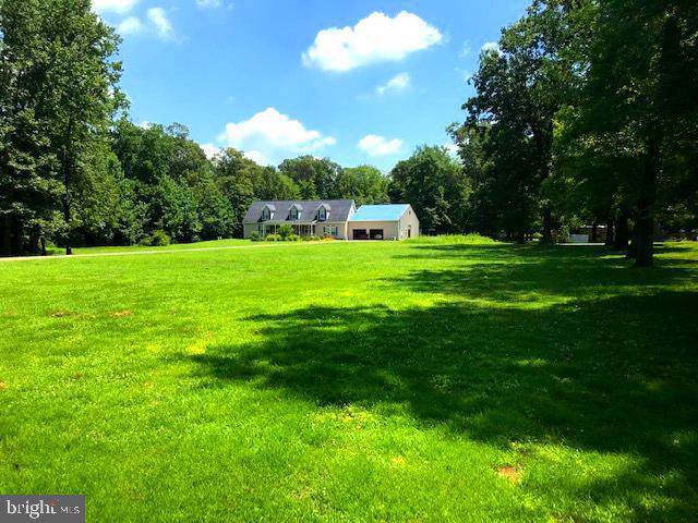 186 Hollering Hill Road - Photo 1