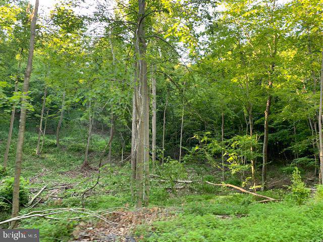 1009 A Six Mile Run Road - Photo 1