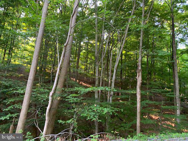 1009 B Six Mile Run Road - Photo 1