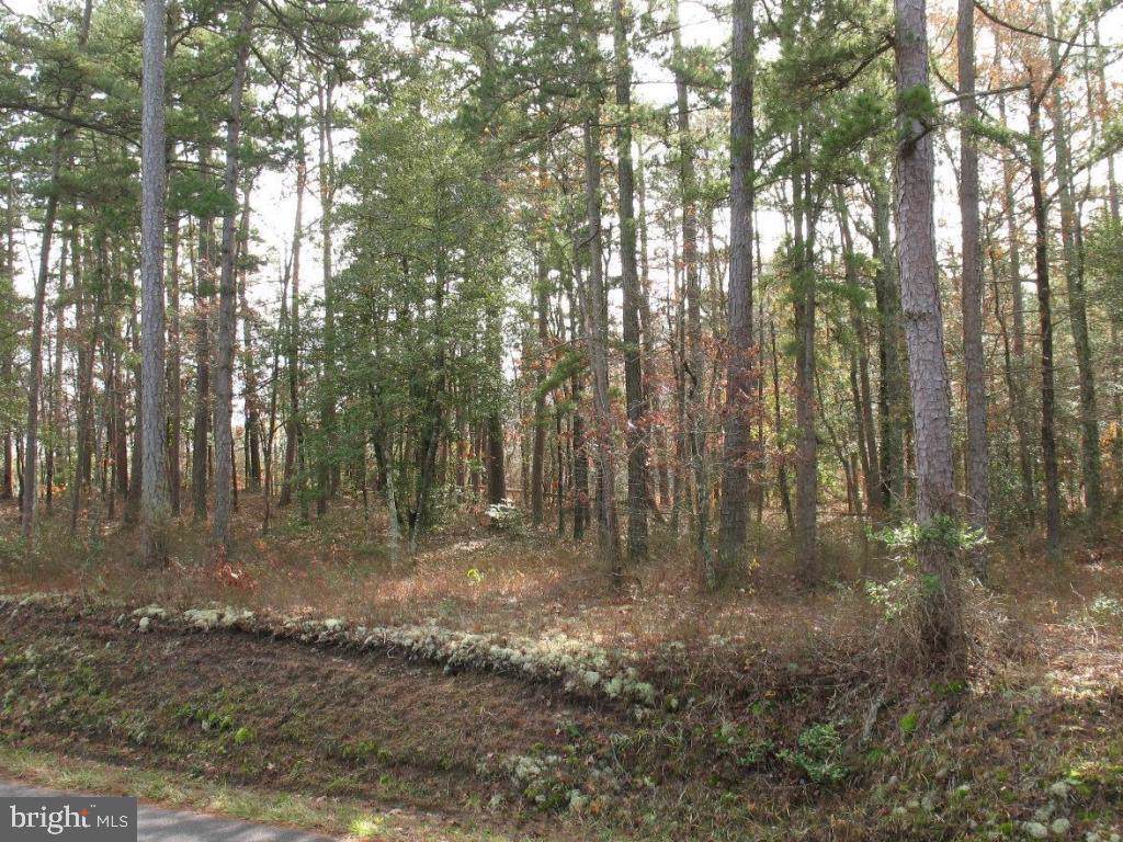0 Mount Olive Church Road - Photo 1