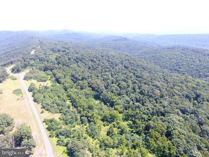 205 Bluffs On The Potomac - Photo 1