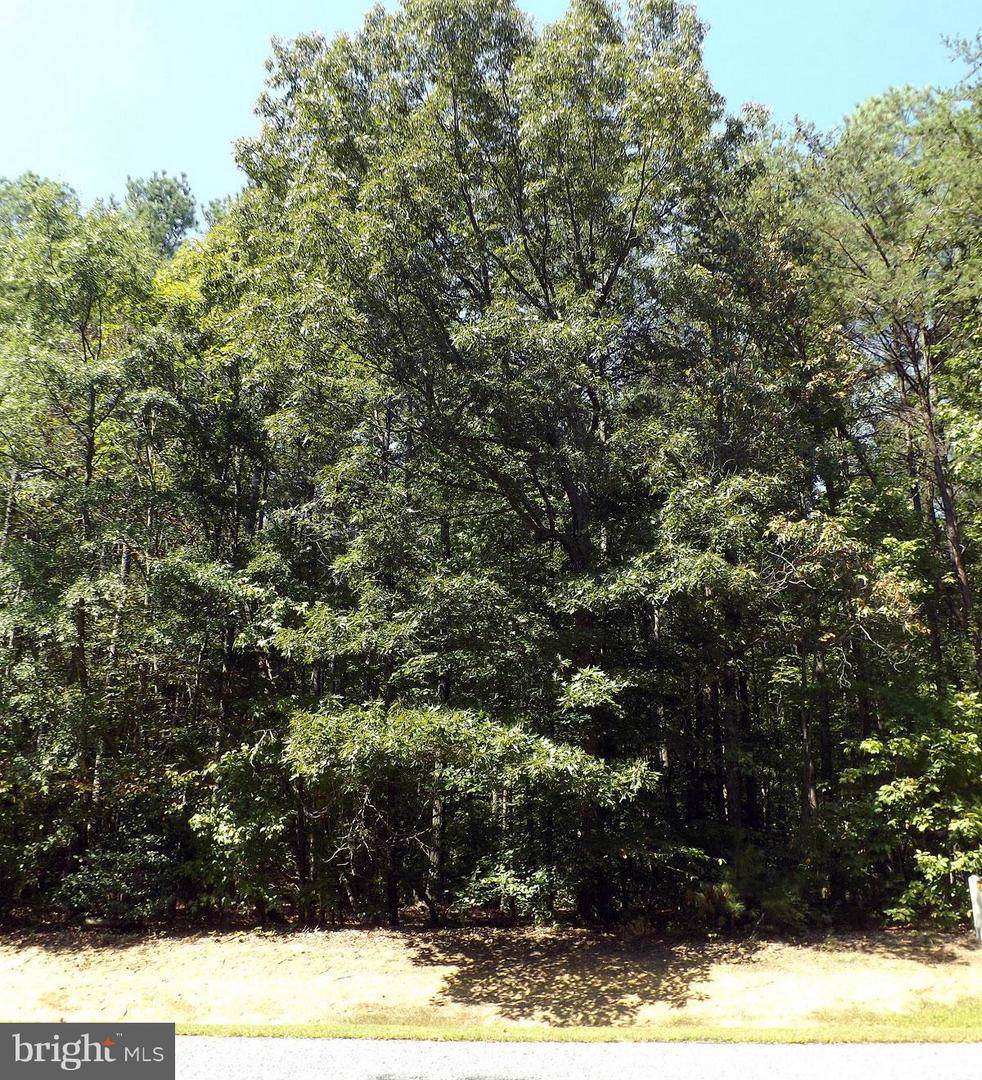 117 Spruce Drive - Photo 1