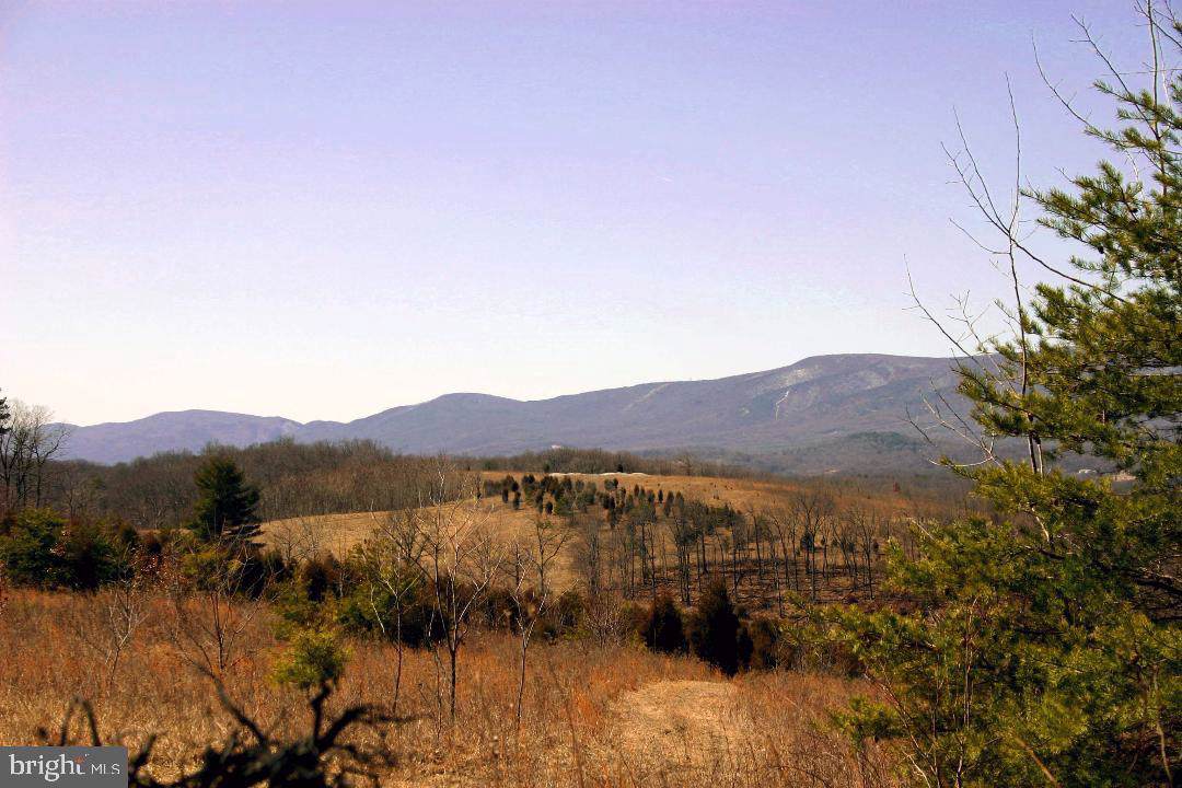 White Pine Lane - Photo 1