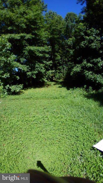 24608 Grove Road - Photo 1