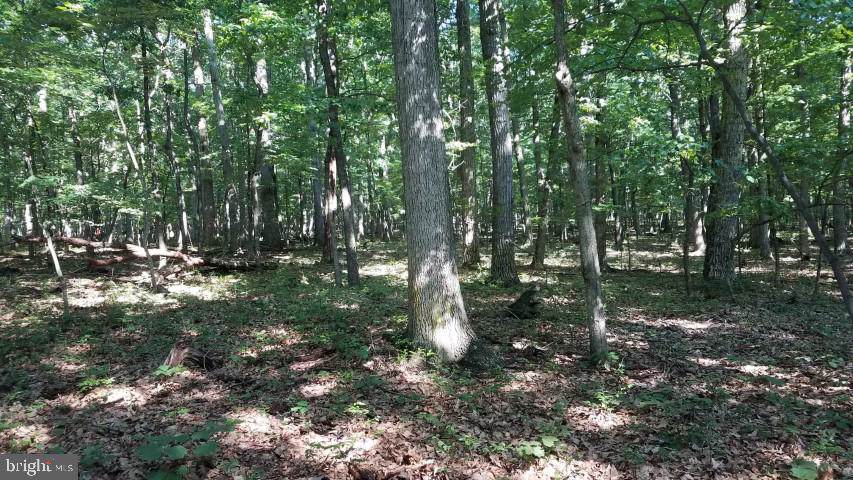 Lot 59 High Mtn Meadow - Photo 1
