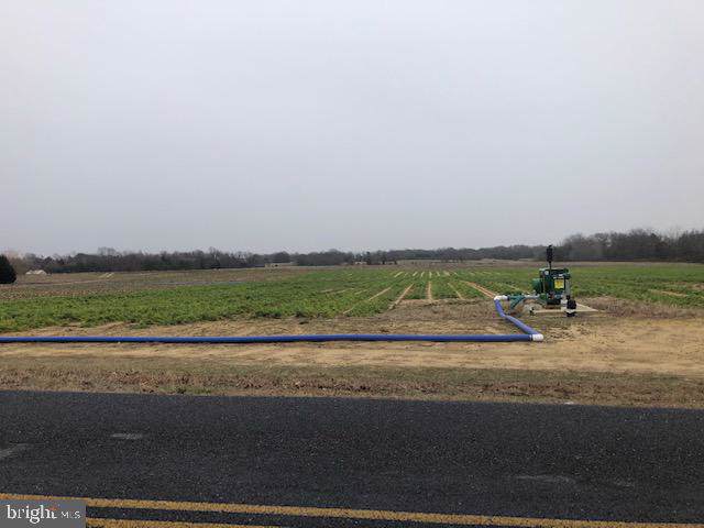 0 Crow Pond Road - Photo 1