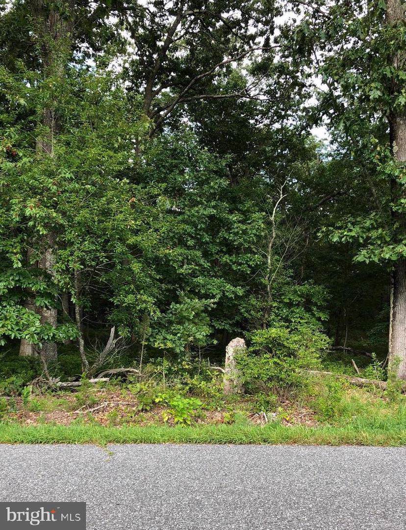 0 Locust Avenue - Photo 1