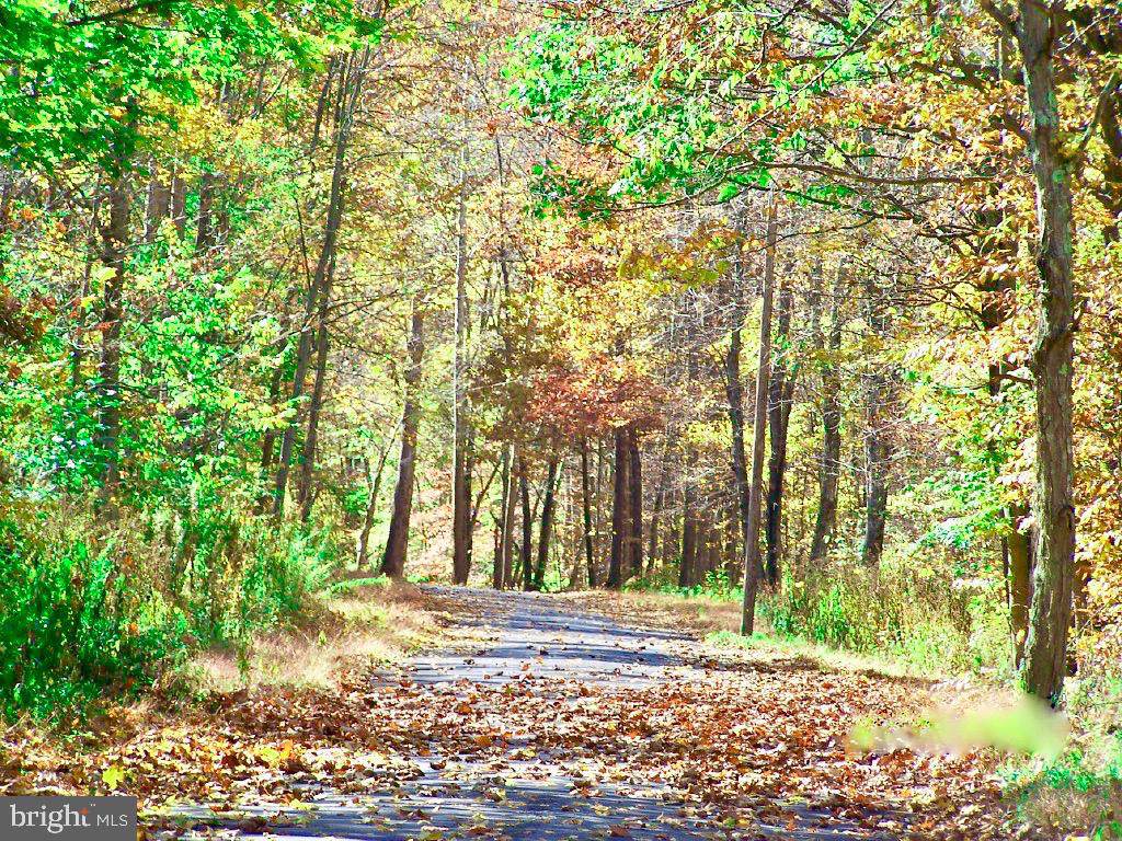 Nethkin Road - Photo 1
