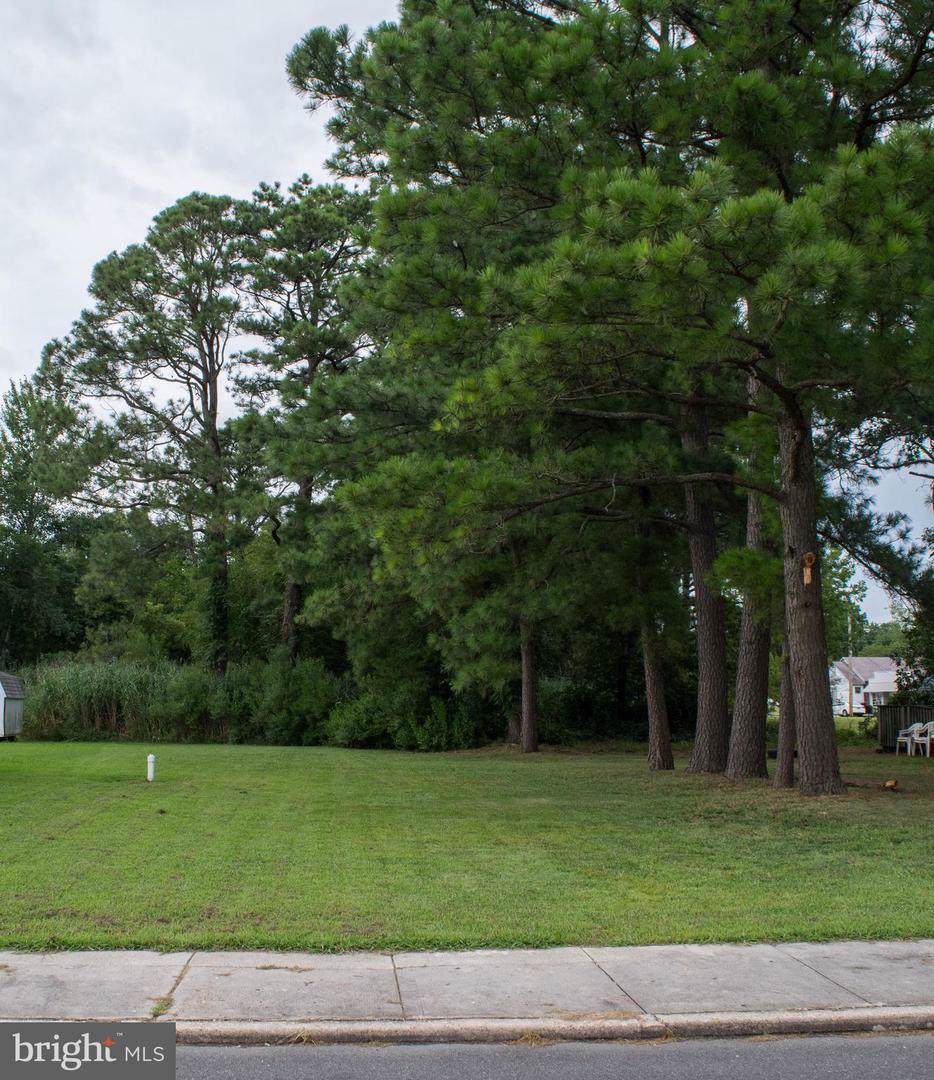 Parcel 864 Chesapeake Avenue - Photo 1