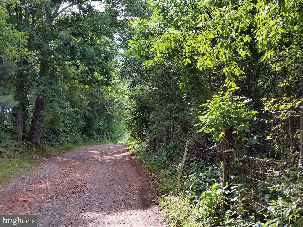4110 Wild Deer Lane - Photo 1