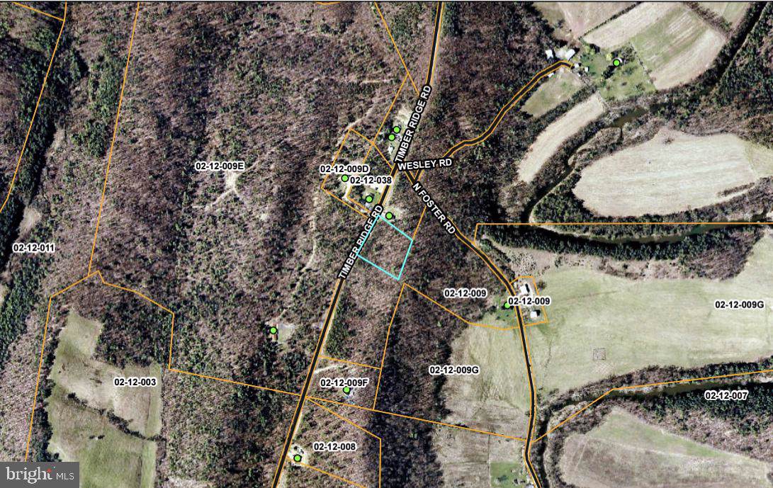 Timber Ridge Rd - Photo 1
