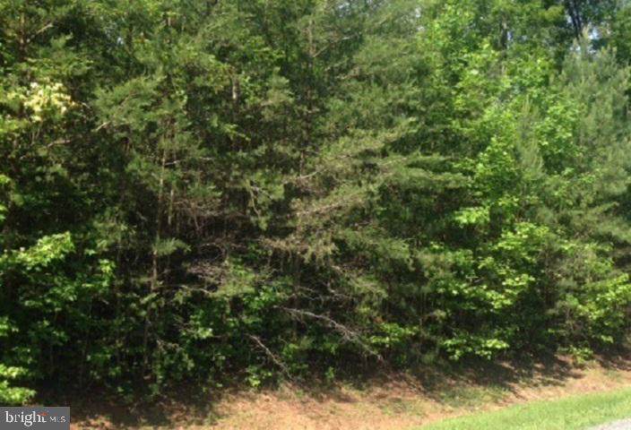 Indian Creek - Photo 1