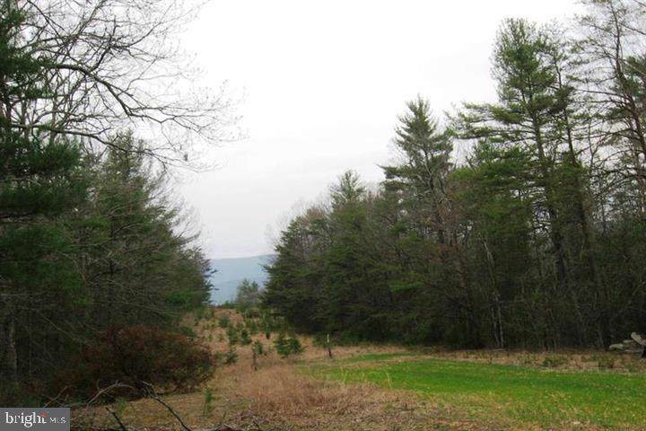0 Supinlick Ridge - Photo 1