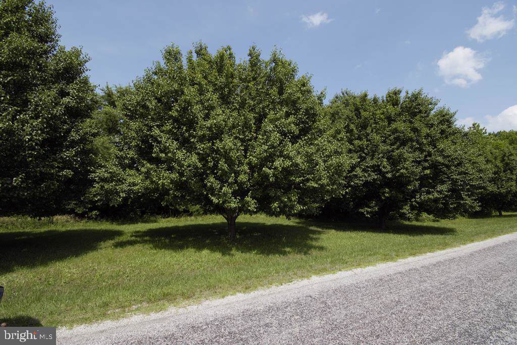 LOT 30X Bushfield Rd - Photo 1