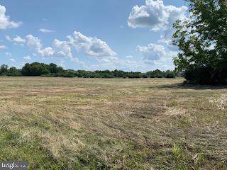 3700 Martinsburg Pike - Photo 1
