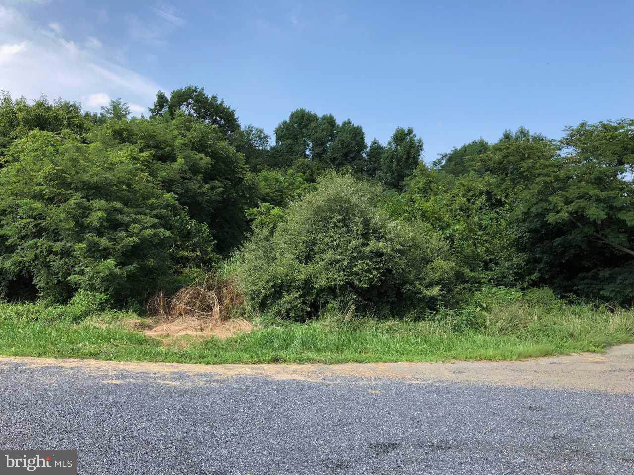 Bottom Road - Photo 1