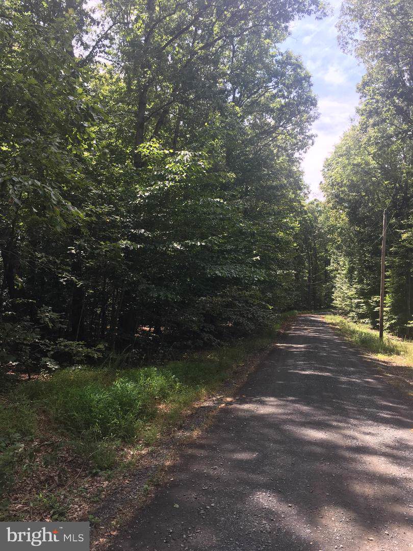 9501 Ritter Road - Photo 1