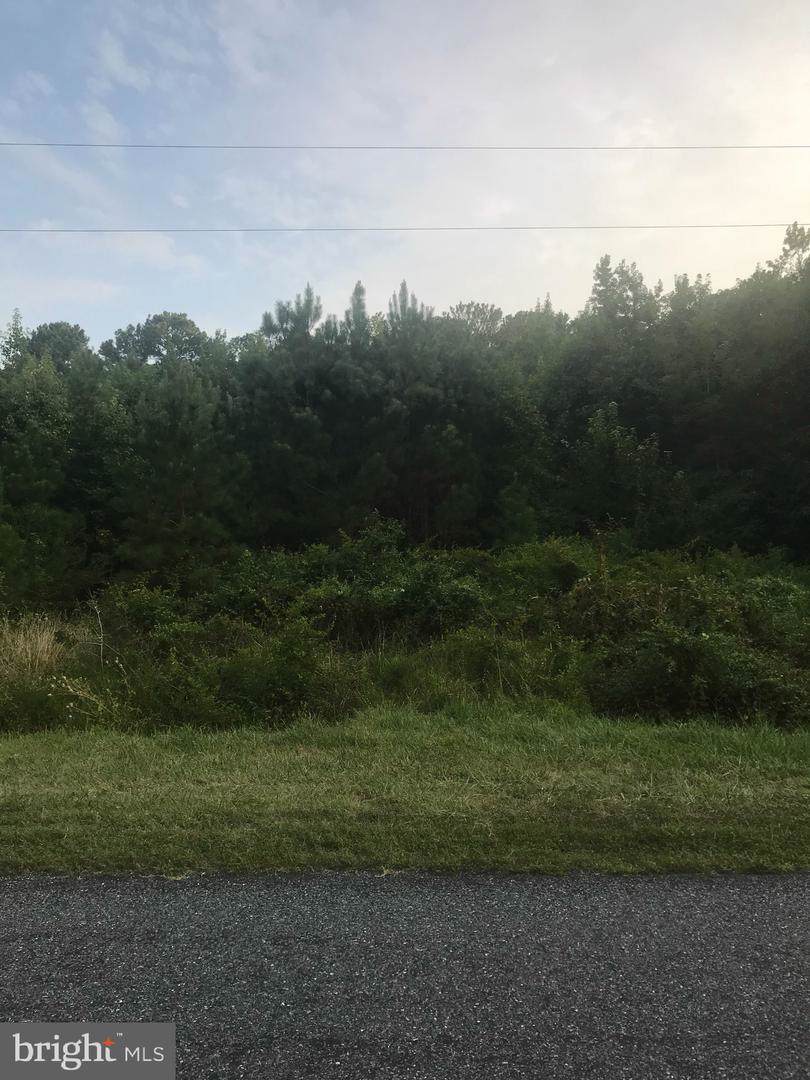 23915 Head Creek Road - Photo 1