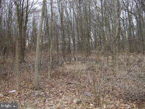 11 Bunker Hill Road - Photo 1
