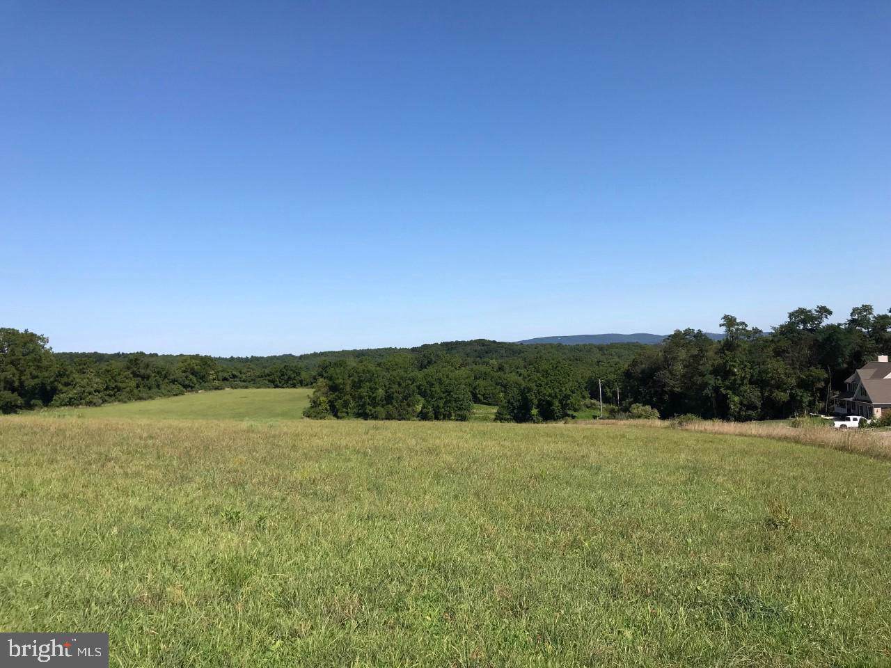 Lot 5 Landis Road - Photo 1