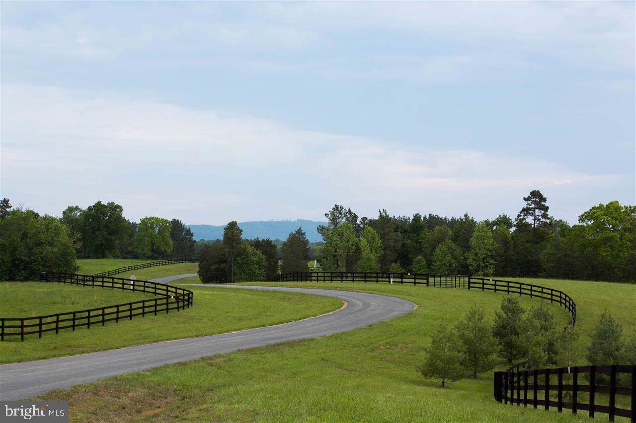 Lot 1-FARMS AT Blenheim - Photo 1