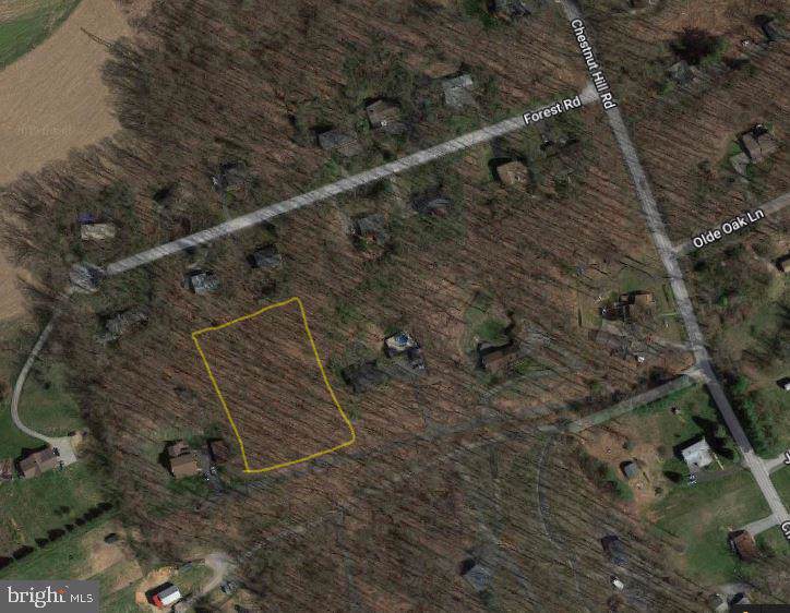 0 Chestnut Hill Road - Photo 1