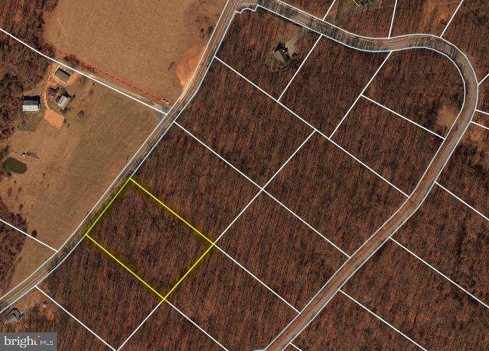 Lot 2 Back Creek Valley - Photo 1