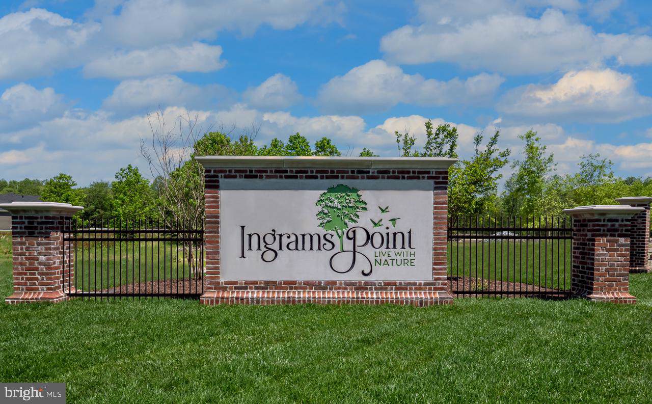 24008 Ingrams Drive - Photo 1