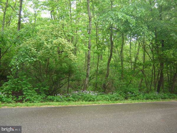 Beazley Lane - Photo 1