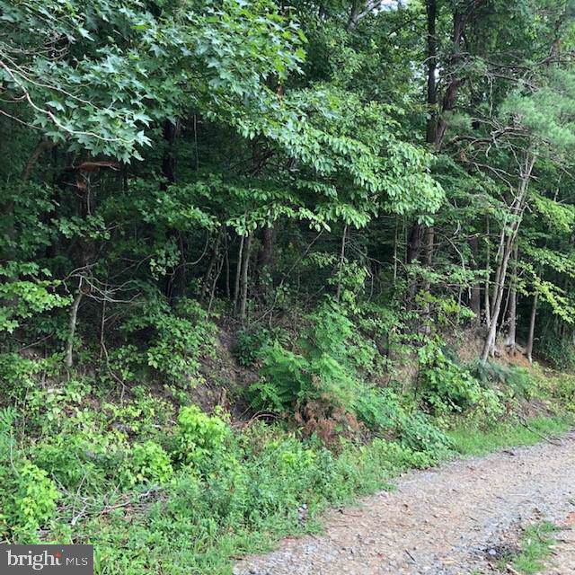 600 (LOT 2) Belle Plains Road - Photo 1 600 (LOT 2) Belle Plains Road - Photo 1