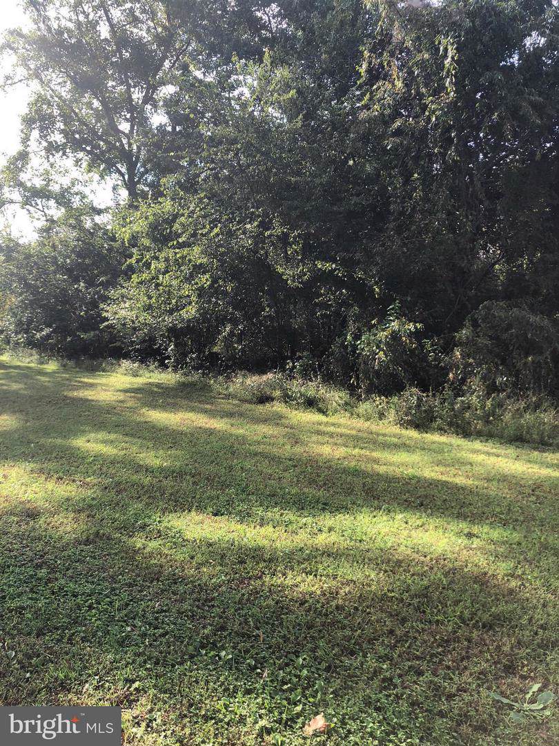 Frances Avenue - Photo 1