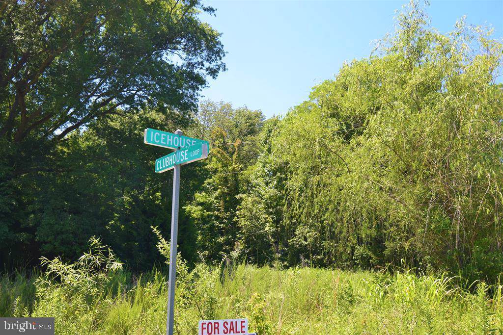 Lot 30Y Bushfield Rd - Photo 1