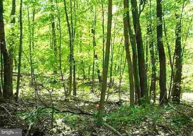 LOTS 1, 2, 3 Five Forks Lane - Photo 1 LOTS 1, 2, 3 Five Forks Lane - Photo 1