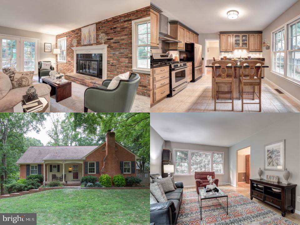 3604 Druid Lane - Photo 1