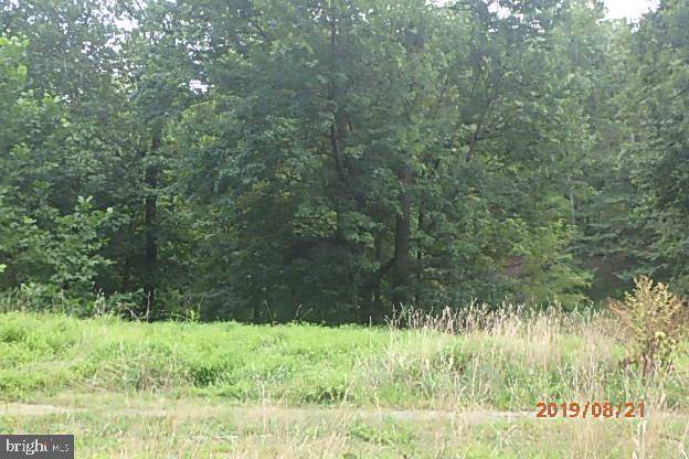 19232 Porterstown Road - Photo 1